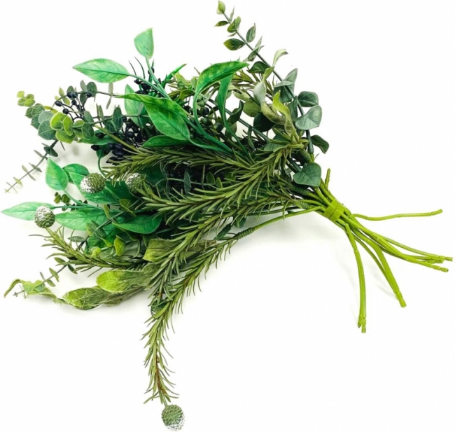 Ветка можжевельника