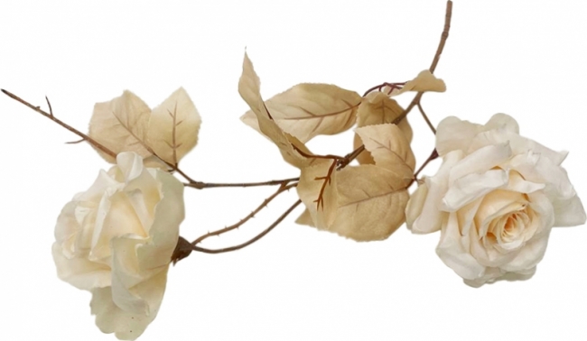 Ветка розы бежевая