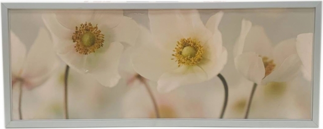 Картина White Flower