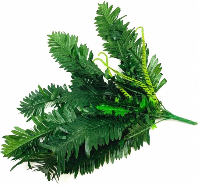 Ветка папоротника