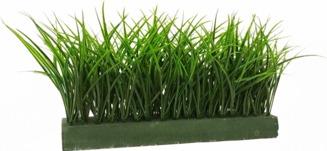 трава в губке для кашпо