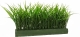 трава в губке для кашпо