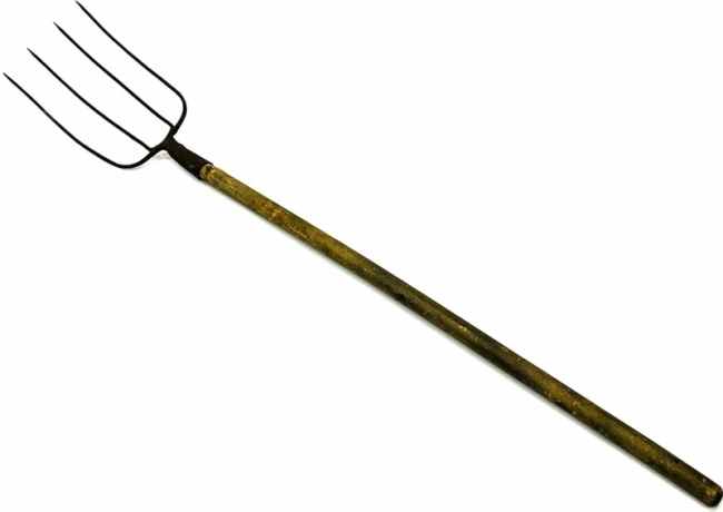 с черенком 2