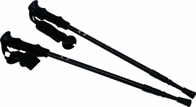 для скандинавской ходьбы 1