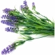 Ветка Лаванды искусственная
