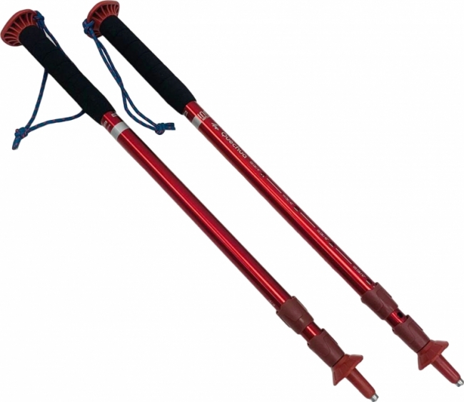 для скандинавской ходьбы 3