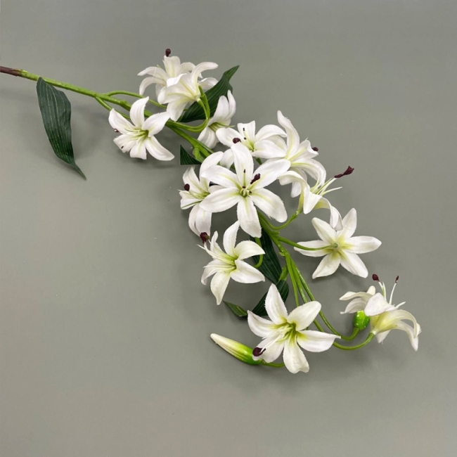 Ветка белые лилии