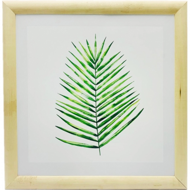 Лист пальмы