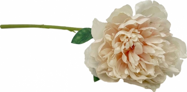 Пион искусственный