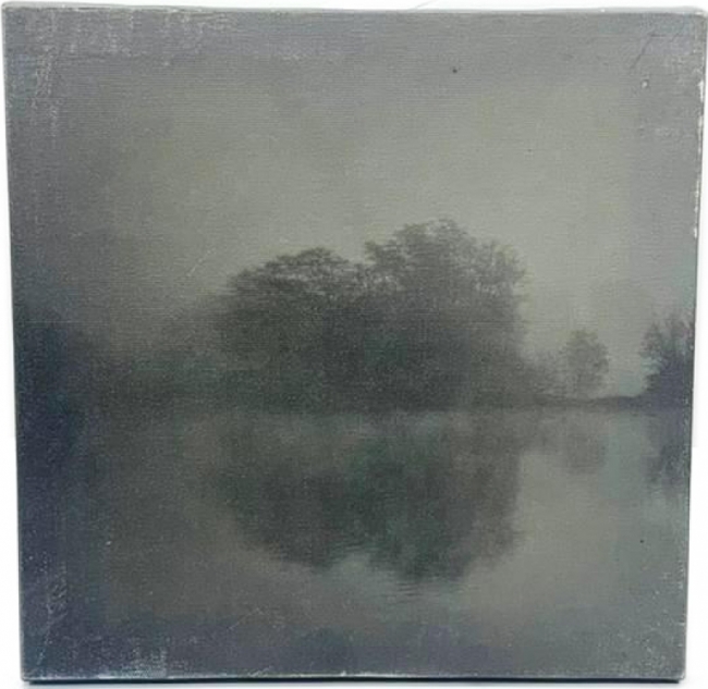 Серое дерево